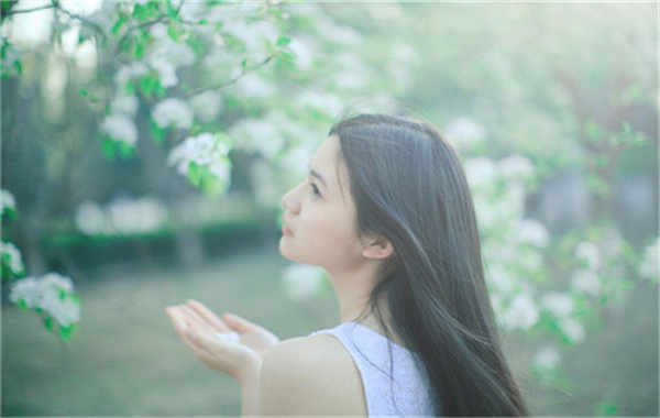 阿巴嘎验血查男女几周可以验(验血查男女结果图)